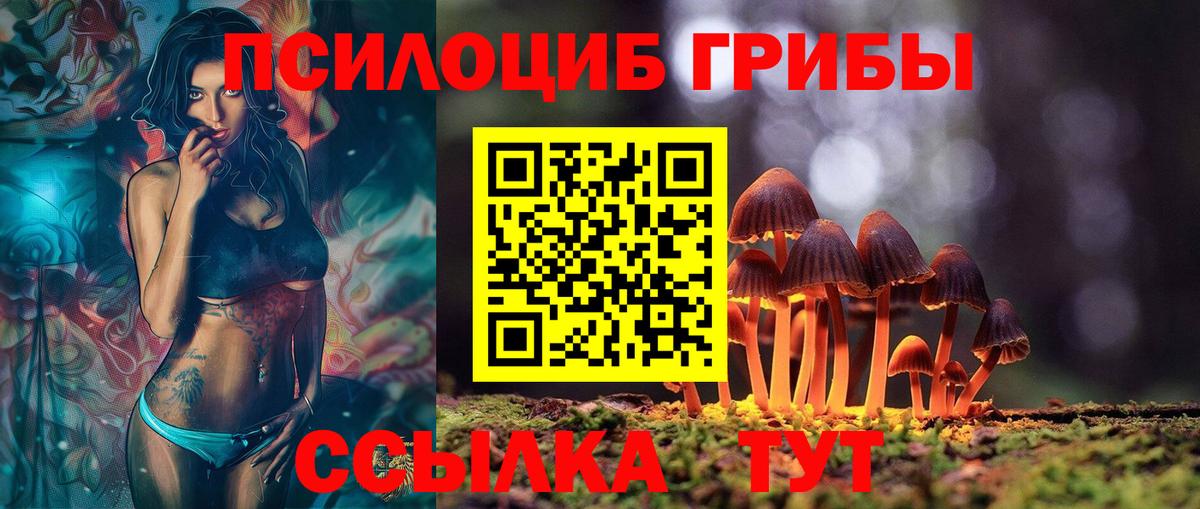 Галлюциногенные грибы мицелий  Вход с VPN  Елабуга 