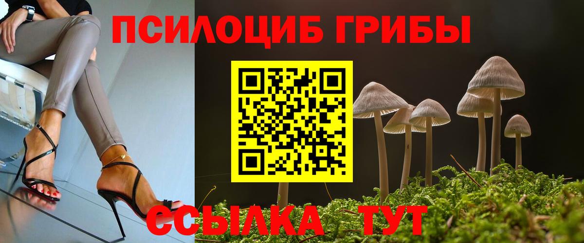 ГАШ Елабуга